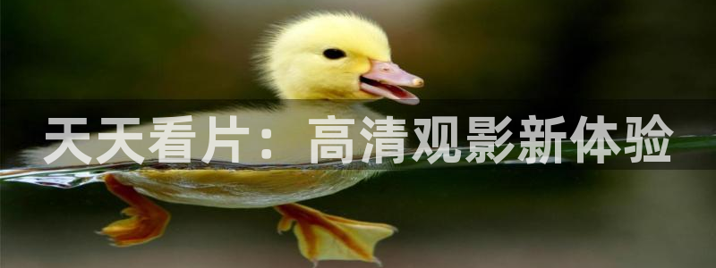 电影天堂的张望高清下载