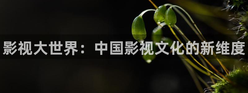 天堂影视神马午夜